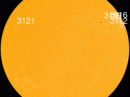 None of these sunspots poses a threat for strong solar flares. All quiet! [Photo courtesy of NASA SDO/HMI]